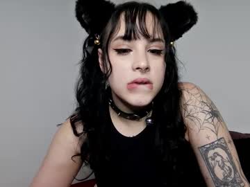 midnightkitten 